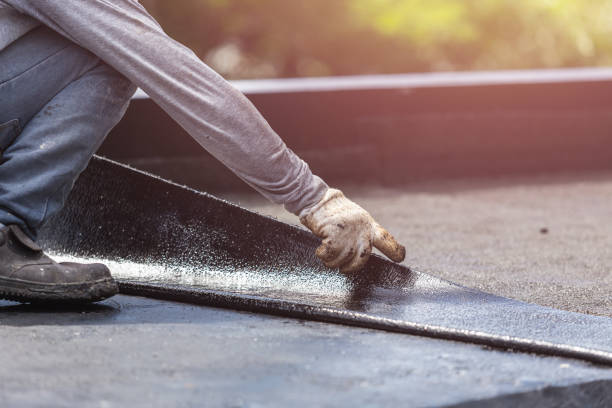 Professional Interior Drainage System technician working in Breedsville, MI